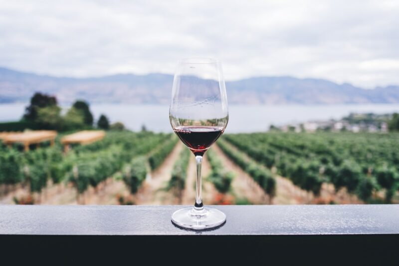 Conservare correttamente vini e distillati rari