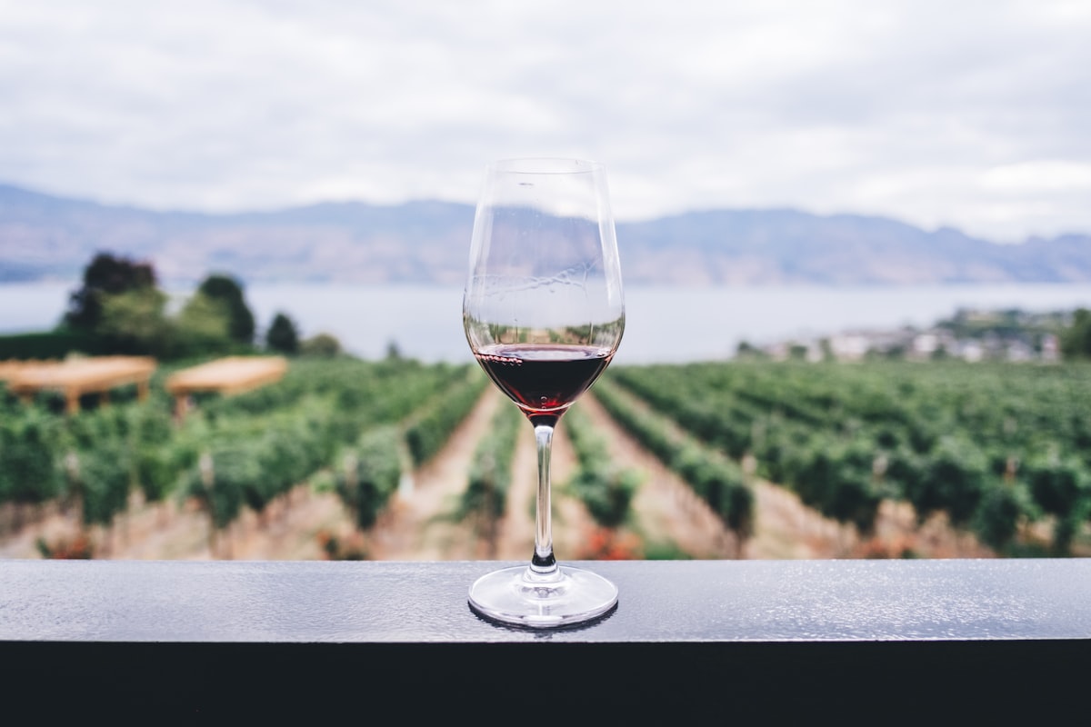 Conservare correttamente vini e distillati rari